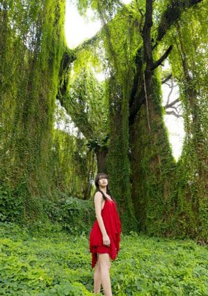 亚洲精品你懂的-全集免费免费播放